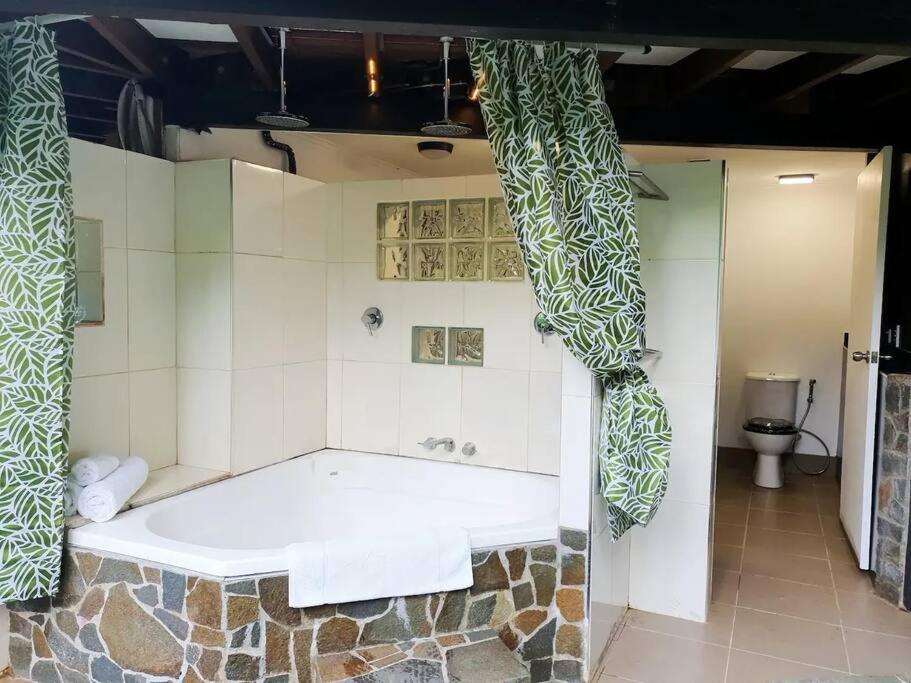 Treeverb Beach House - Daintree Cow Bay エクステリア 写真